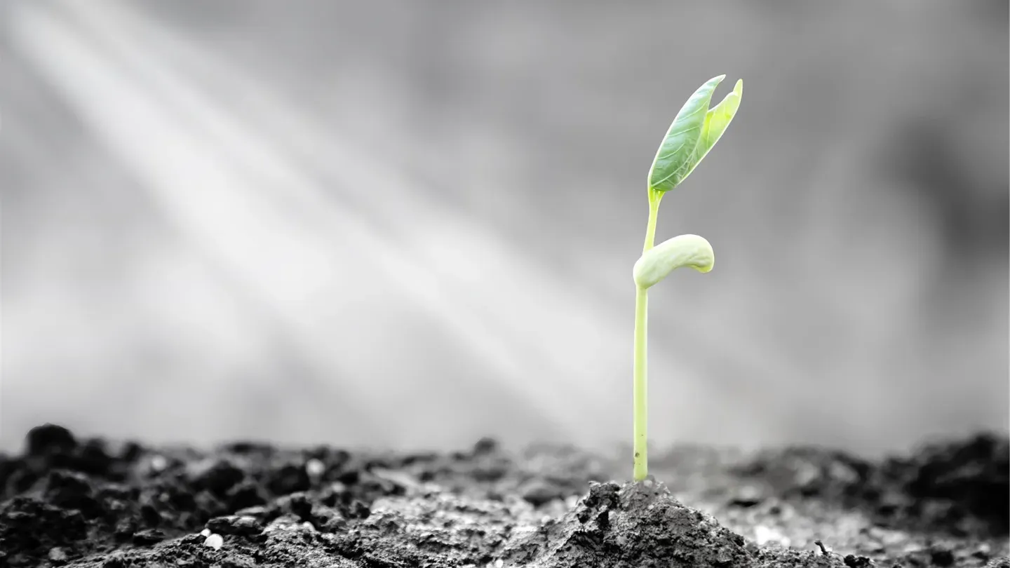 CLO value emerges ahead of likely autumn surge