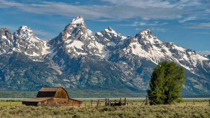 Jackson Hole: 25 or 50?