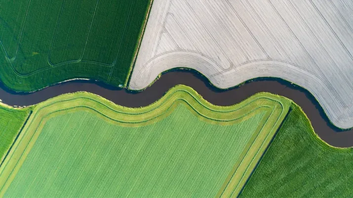 Finding returns through curve positioning 