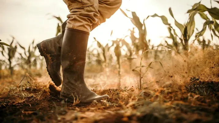 Was negative US growth actually negative?